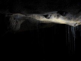 waitomo-caves