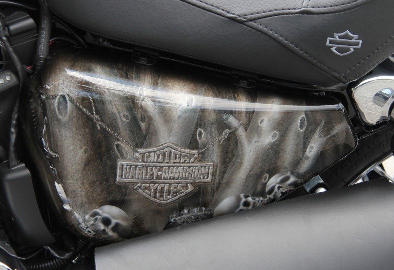 Harley-Davidson Sportster Airbrush Seitendeckel