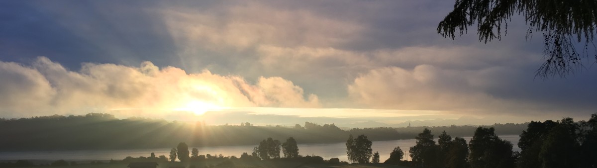 tachinger see 