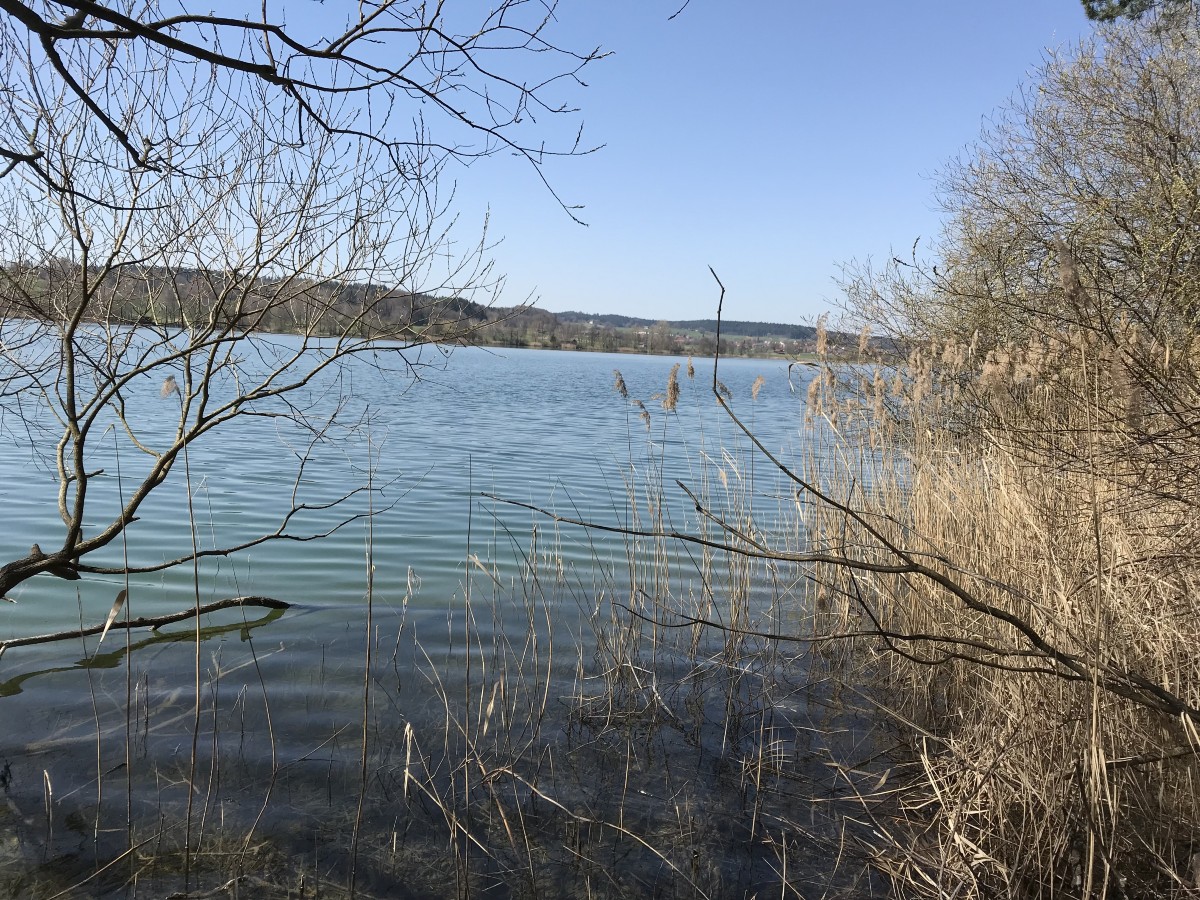 tachinger see tengling