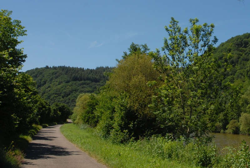 Saar-Radweg hinter Saarburg