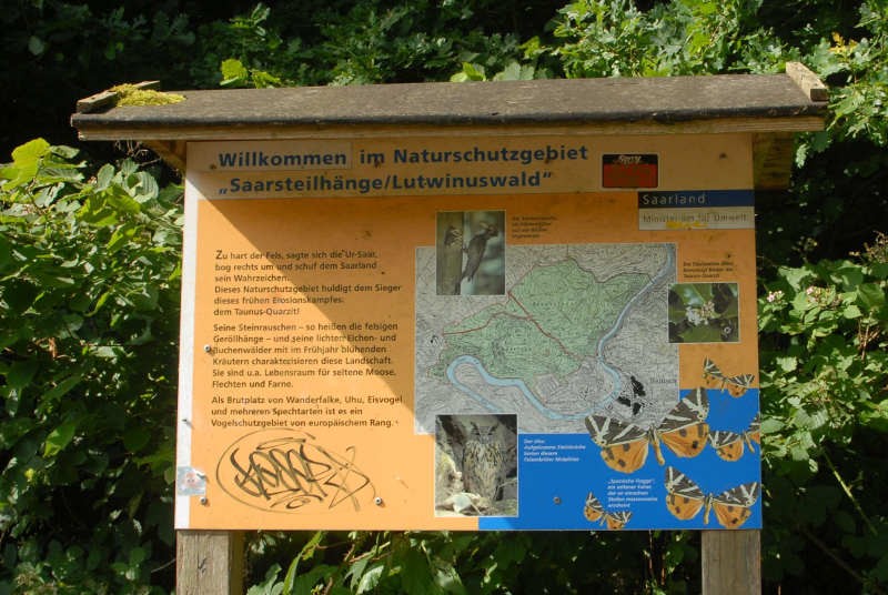 Saar-Radweg in der Saarschleife.