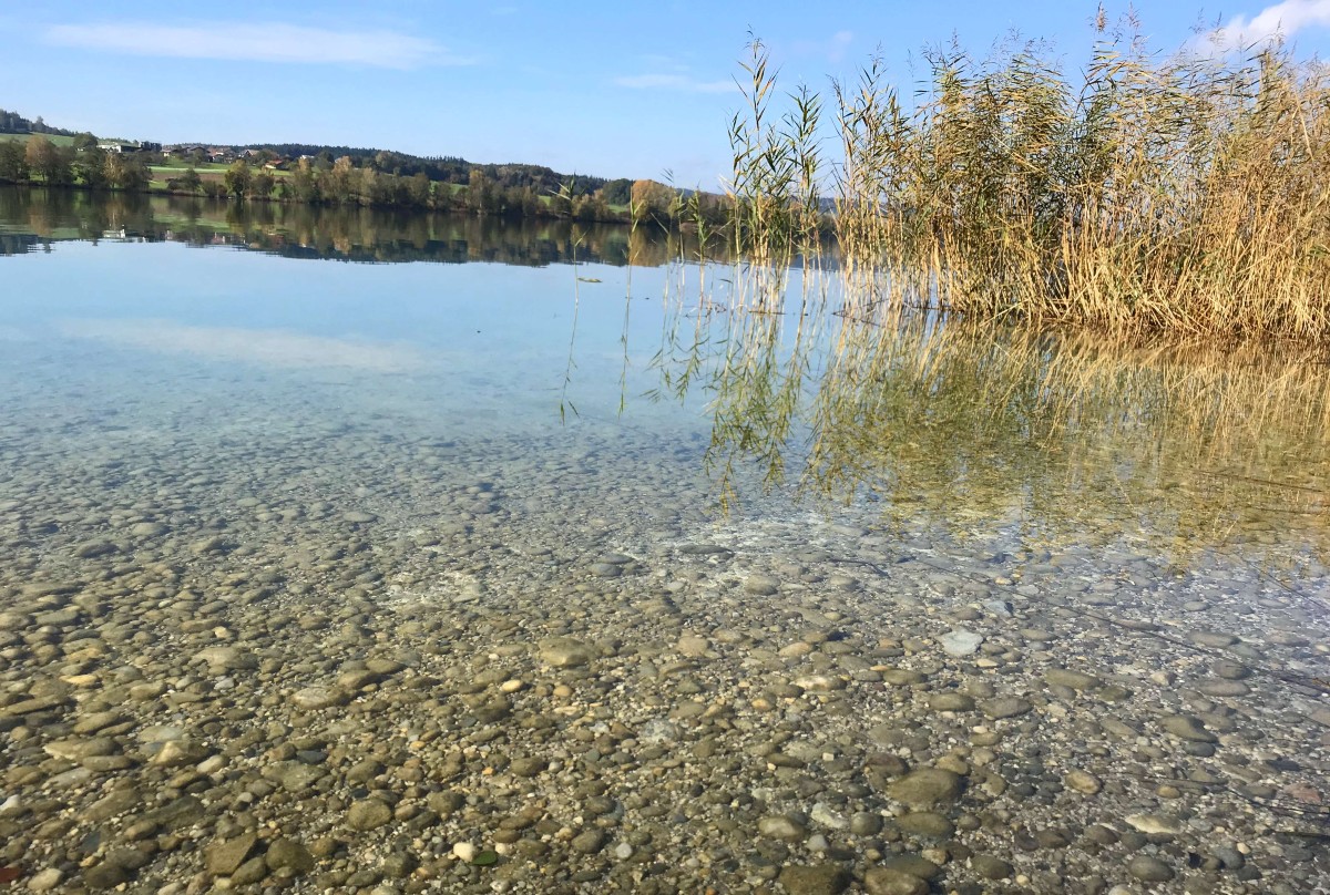 tachinger see taching tettenhausen lago di wago