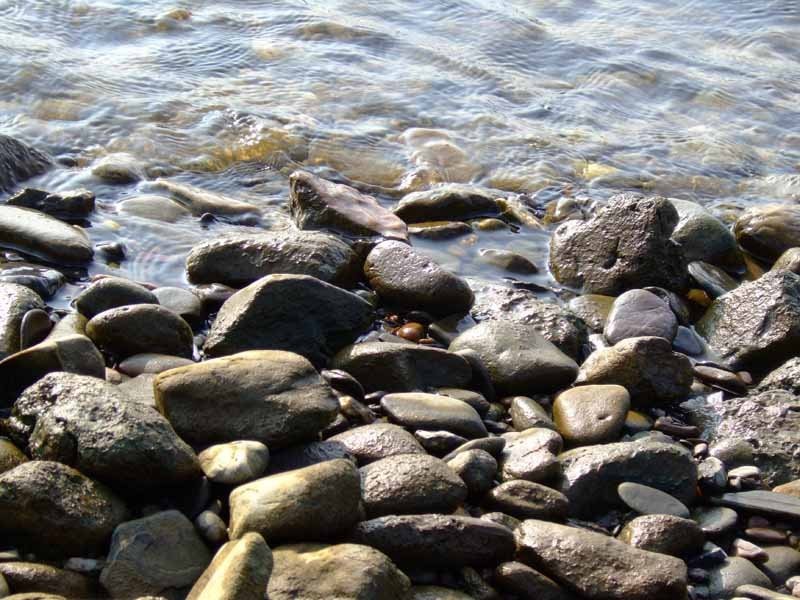 Steine und Wasser am Rheinufer
