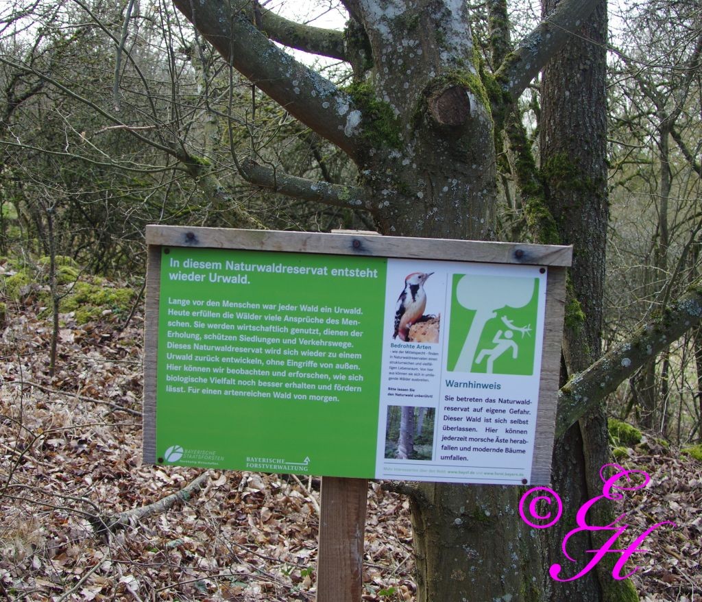 Naturwaldreservat Naabrangen