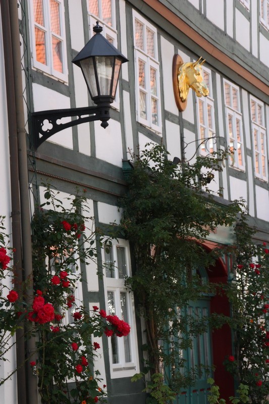 hildesheim dieaktuellekamera de