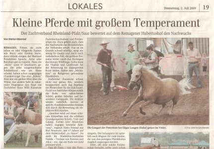 Artikel Fohlenschau Remagen 2009