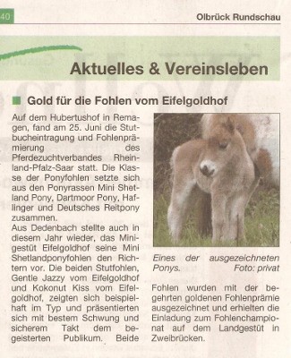 Artikel Fohlenschau 2012