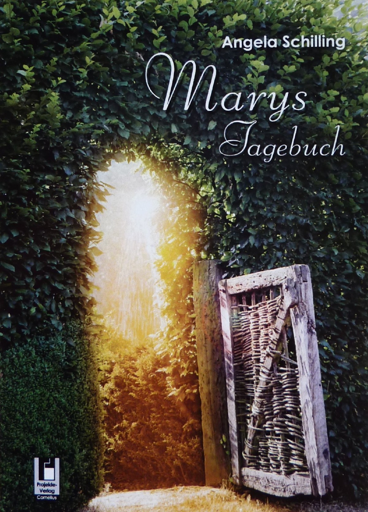 Marys Tagebuch Taschenbuch