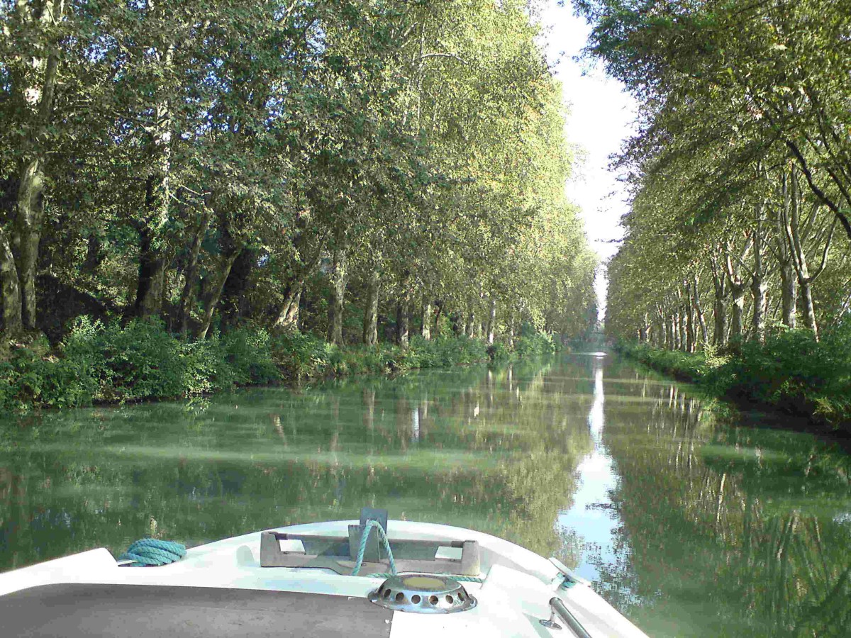 Canal de Caronne