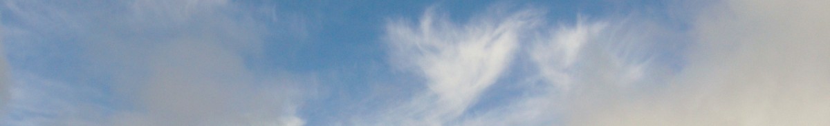 Mein Freund das Tagebuch