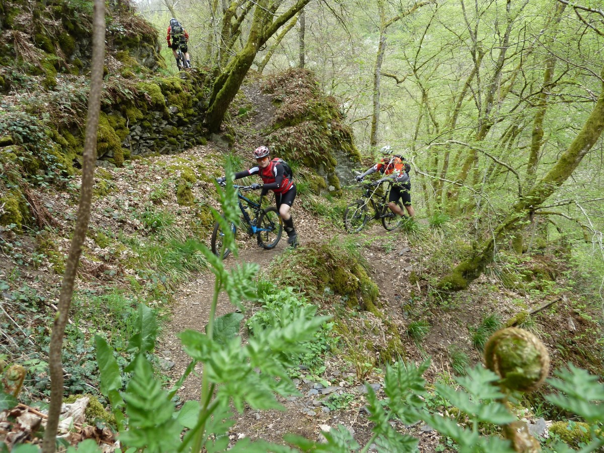 Trail bei Manderscheid