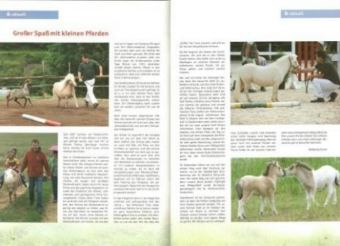 Artikel MAZ, Ausgabe 3/2012