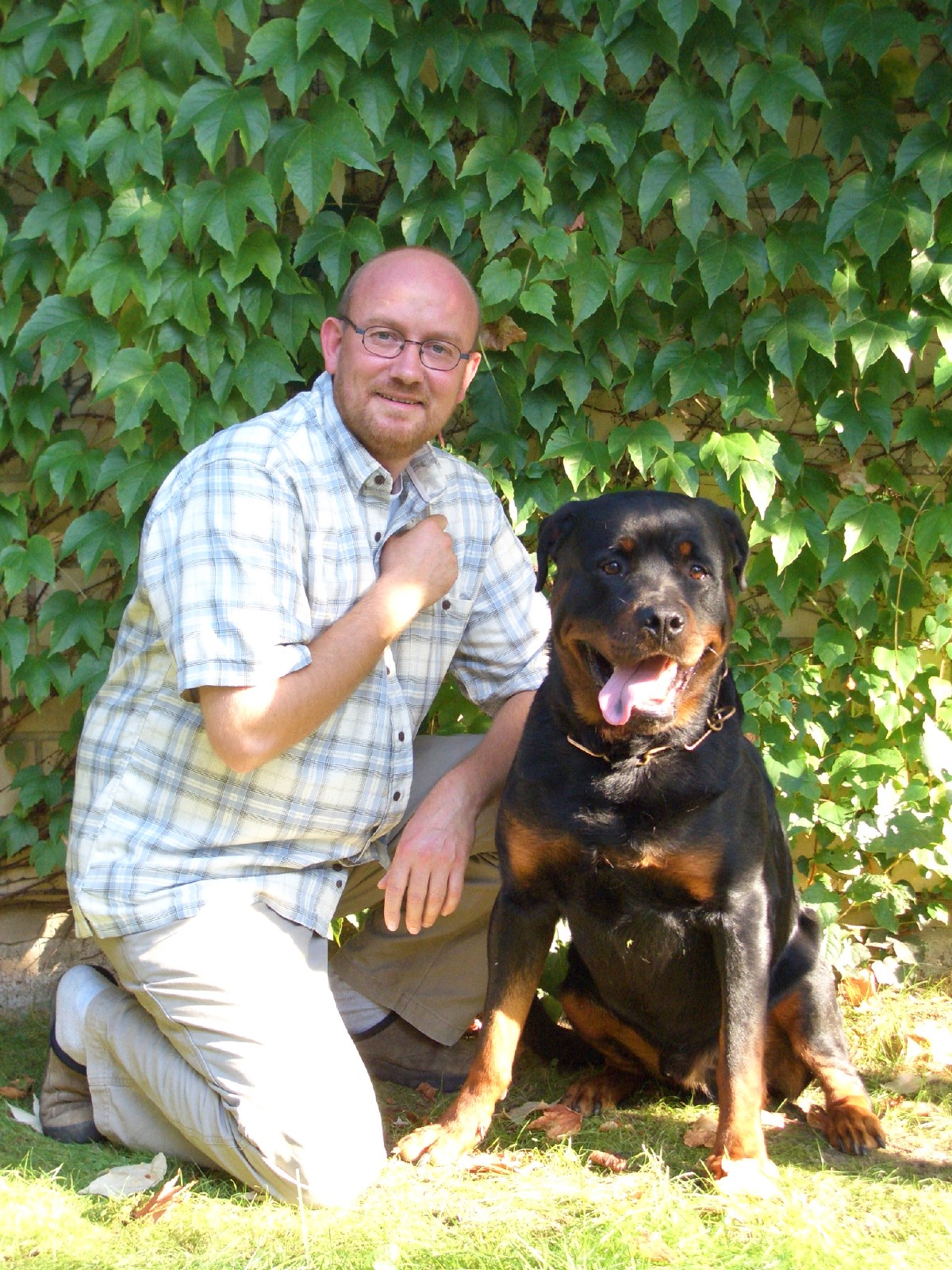 hunde für senioren köln