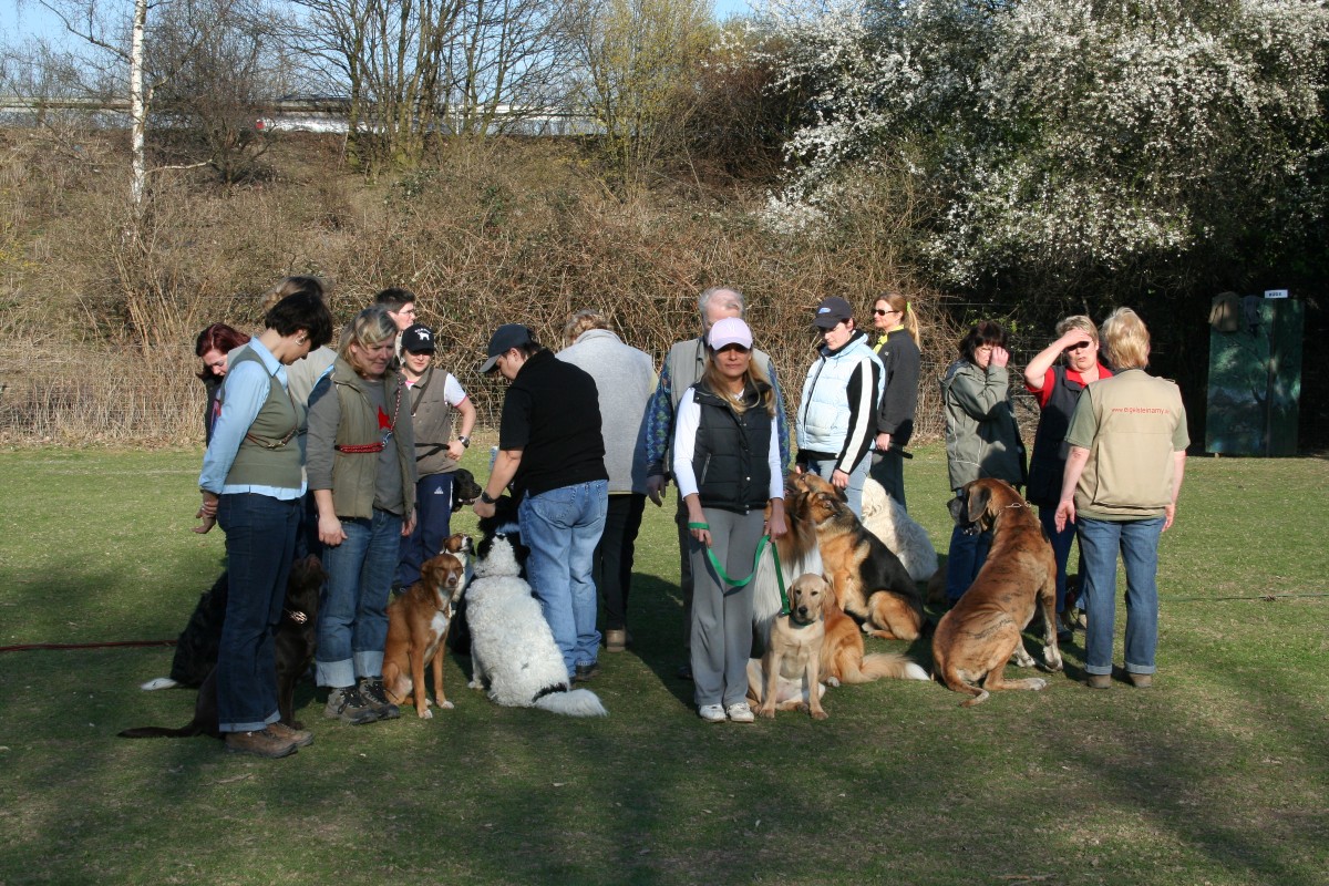 Ausbildungszentrum für Hunde Köln Hillgemann Unser Trainingsgelände