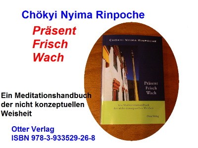 Buddha Vs Buddhismus Und Meditation Sicht Leben Ii