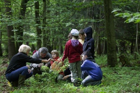 Wald erleben im Jugendwaldheim
