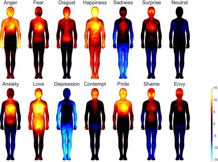 14 Emotionen haben die Forscher untersucht