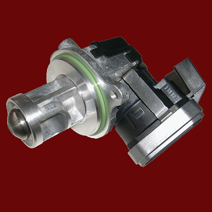 AEGR valve