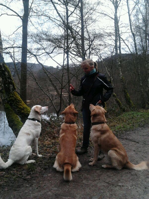 Bild von Gabi Jansen mit drei Hunden, die zu ihr hochschauen