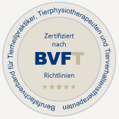 BVFT