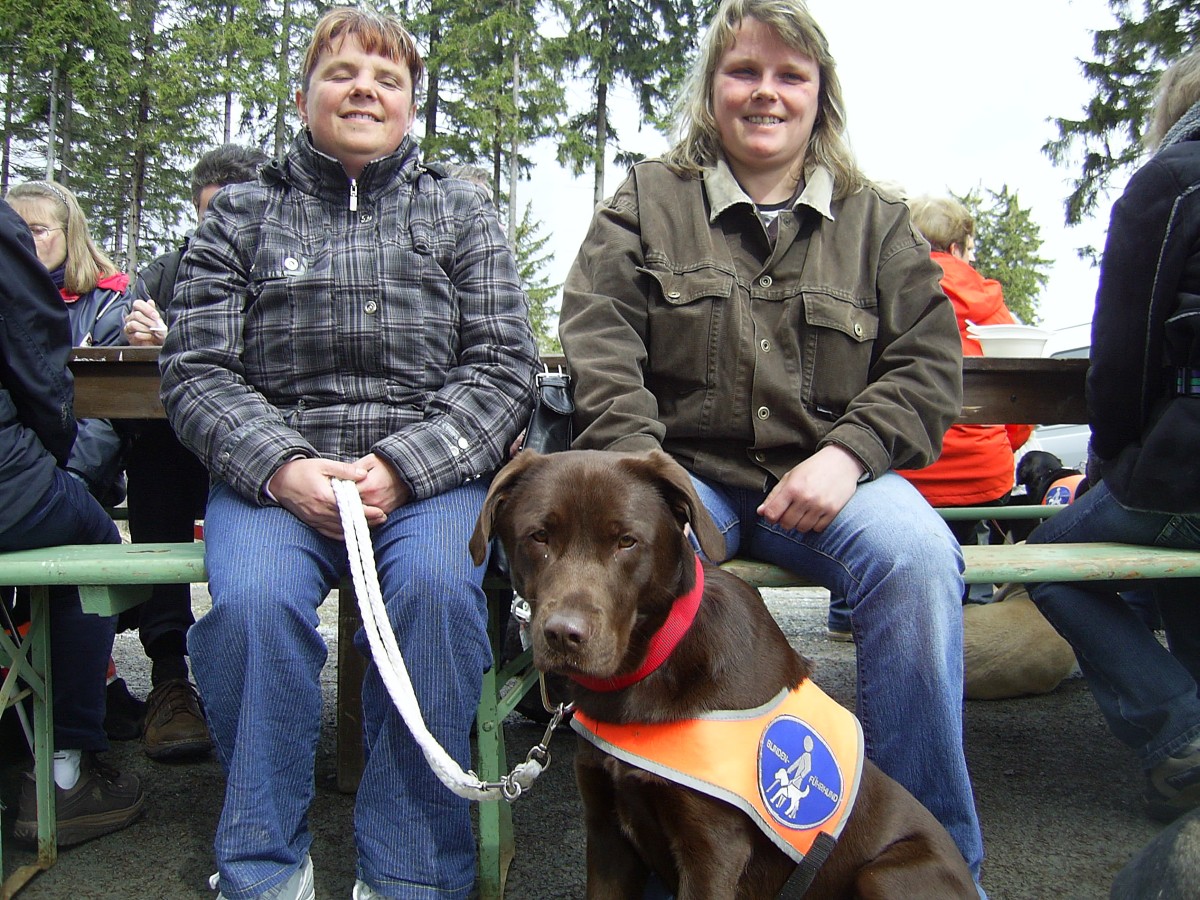 Begleitperson - Hilfe für Blinde finden - Führhund
