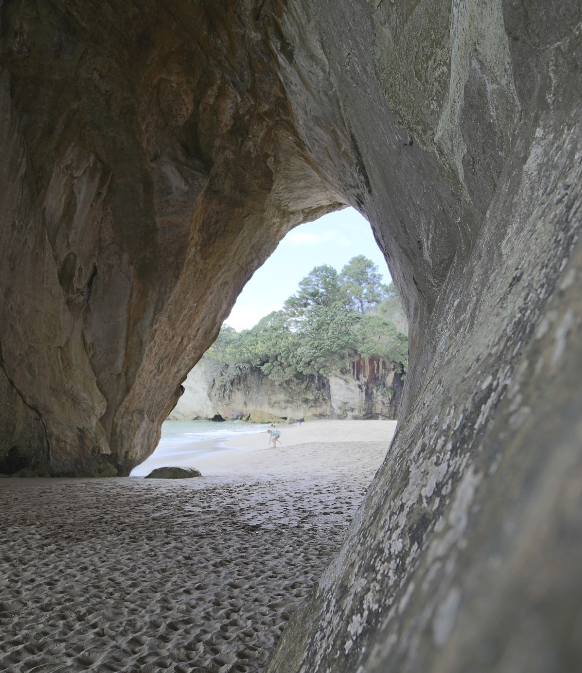 Cathedral Cove / Foto: Andreas Bechler