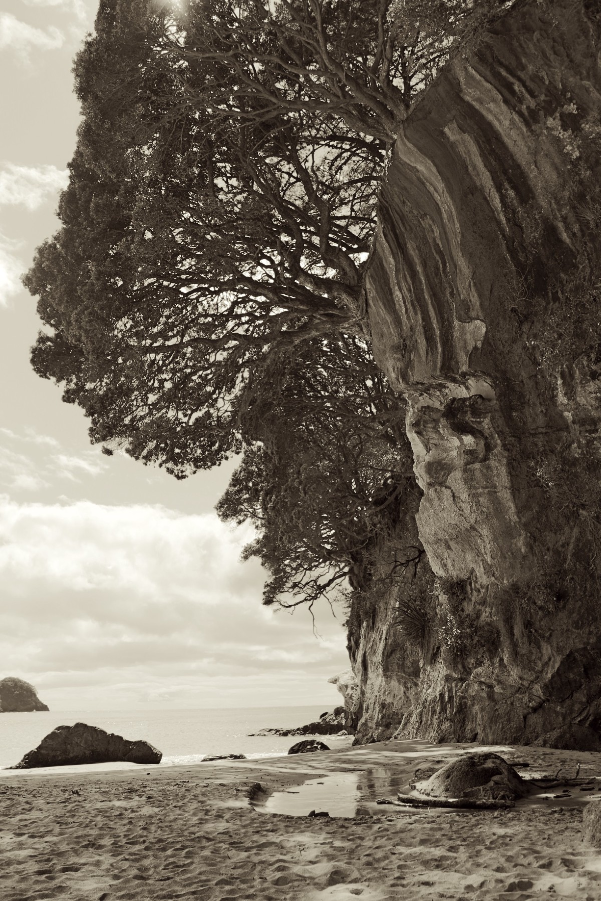 Cathedral Cove - Beach / Foto: Andreas Bechler