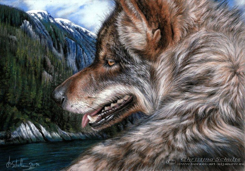 pastel painting grey wolf
