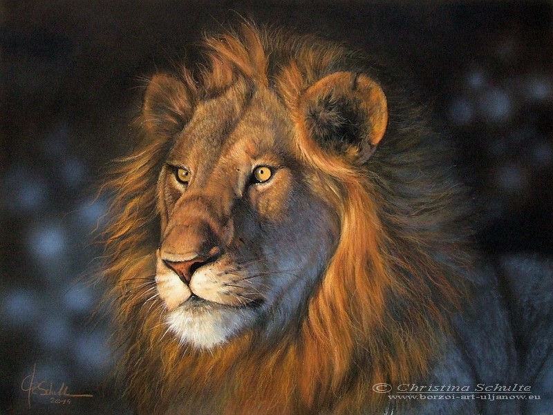 Wildlife painting Lion