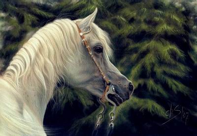 Pastel Arabian Horse