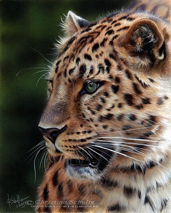 Acrylic painting Leopard