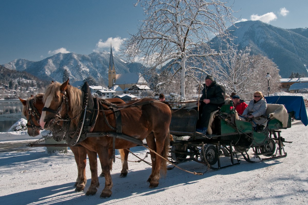 Pferdeschlittenfahrt mit Mayer Toni