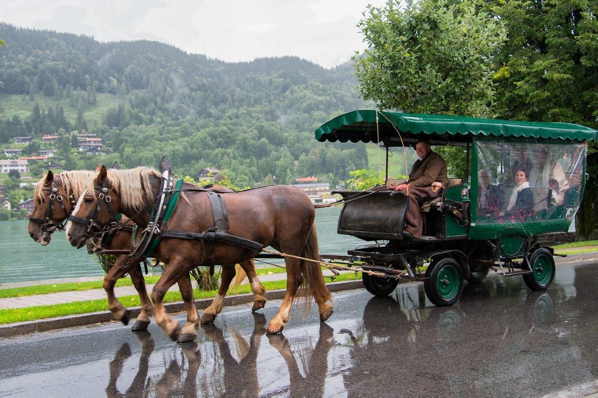 Pferdekutschenfahrt mit Regenplane