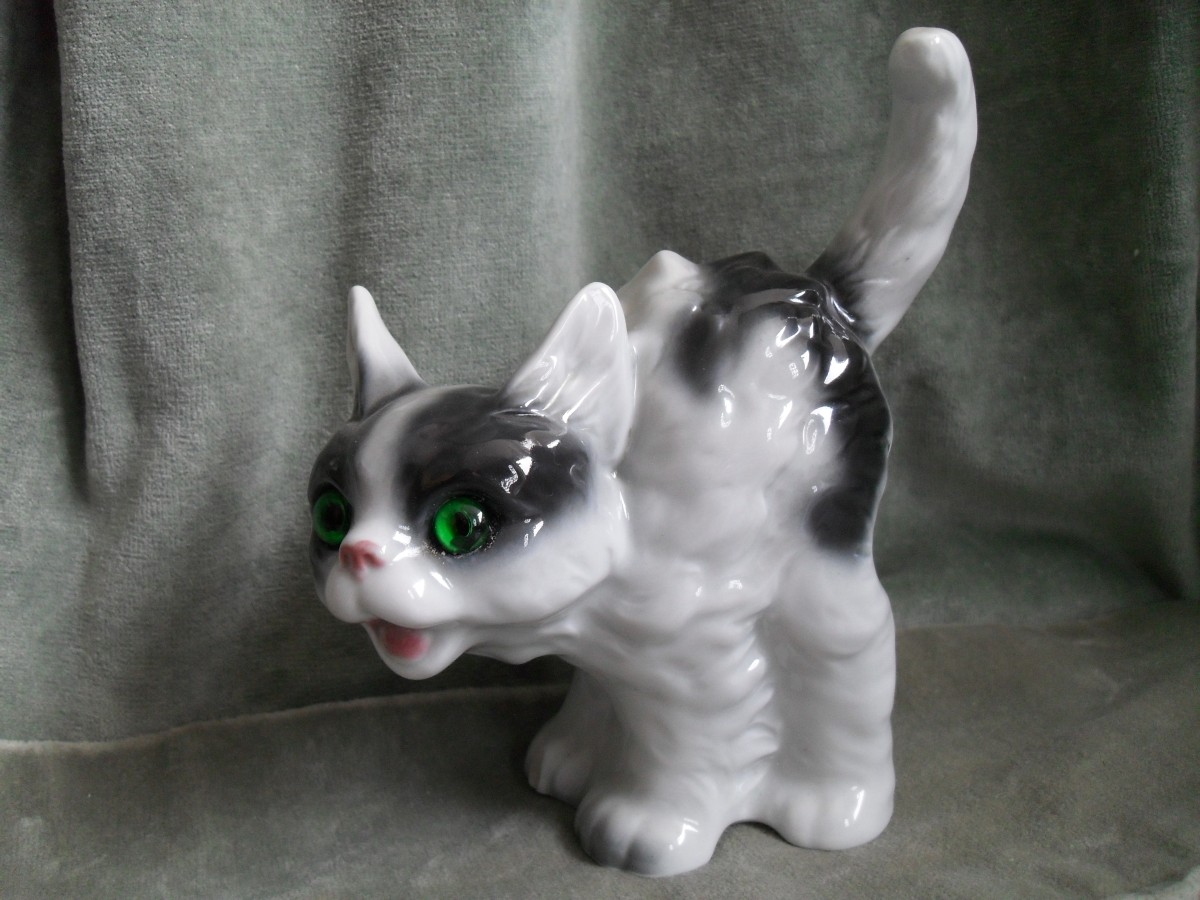 P55 Rauchverzehler schwarz weiße Katze mit Buckel