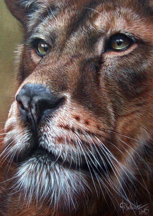 Lioness oil painting