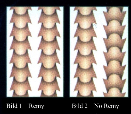 remy  Haare  no remy