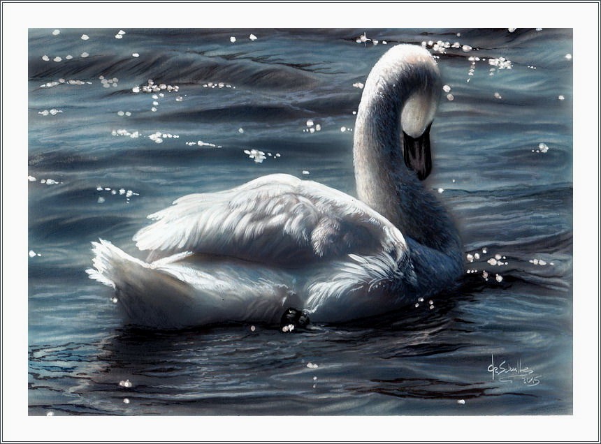 Wildlife watercolor White Swan painting