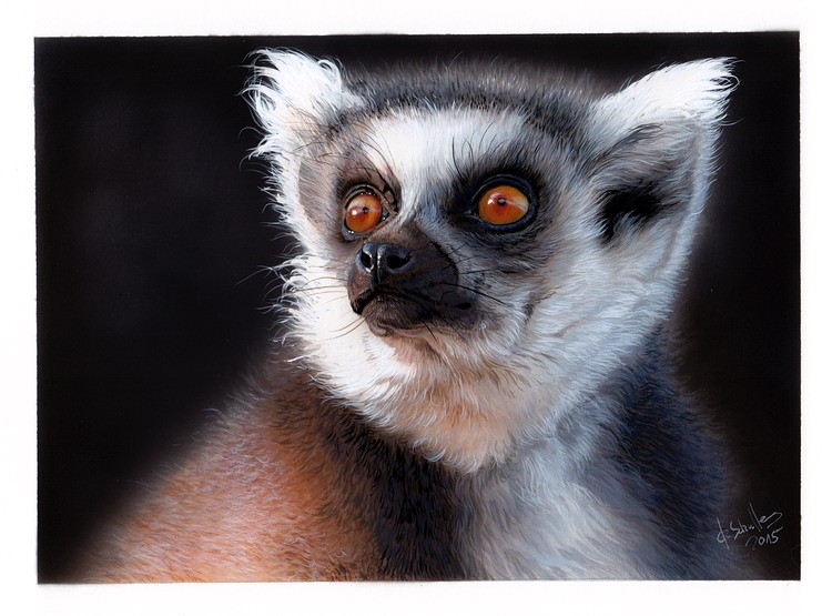 Lemur Wildlife painting