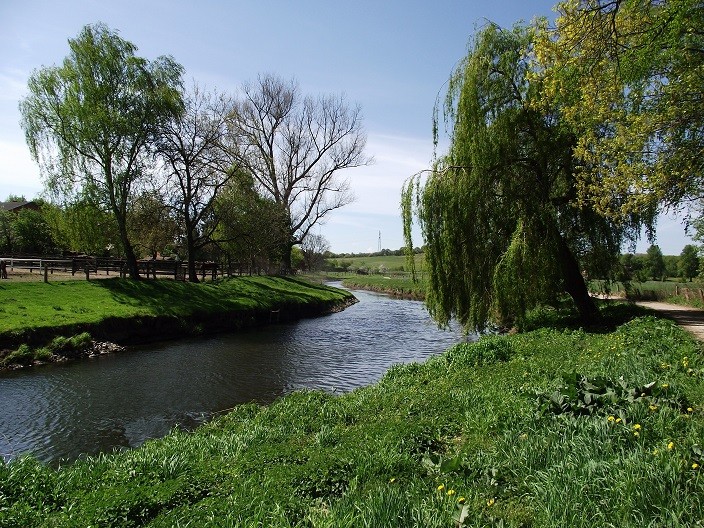 Trave Der Fluss mit den vielen Gesichtern