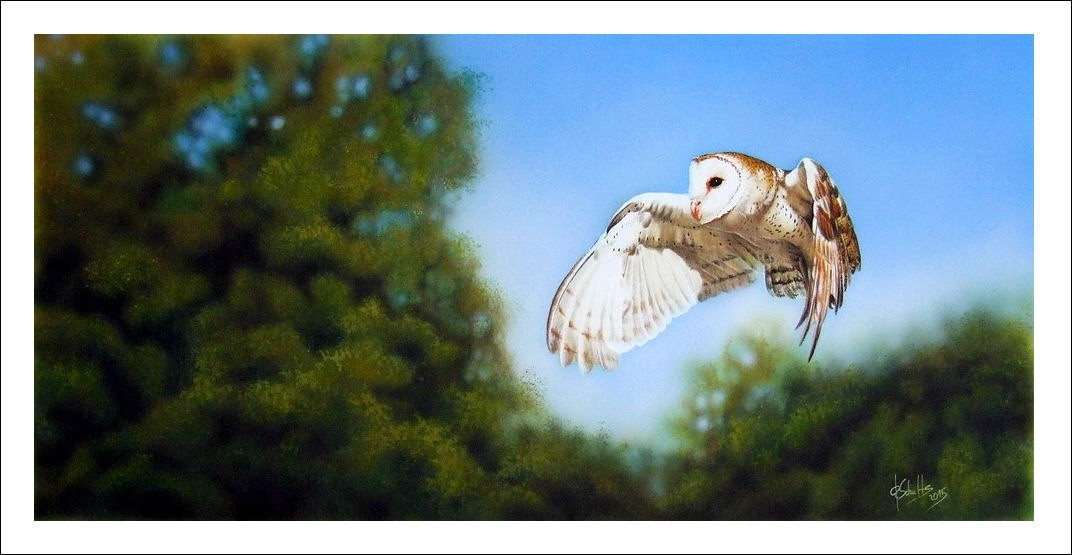 Wildlife painting Barn Owl