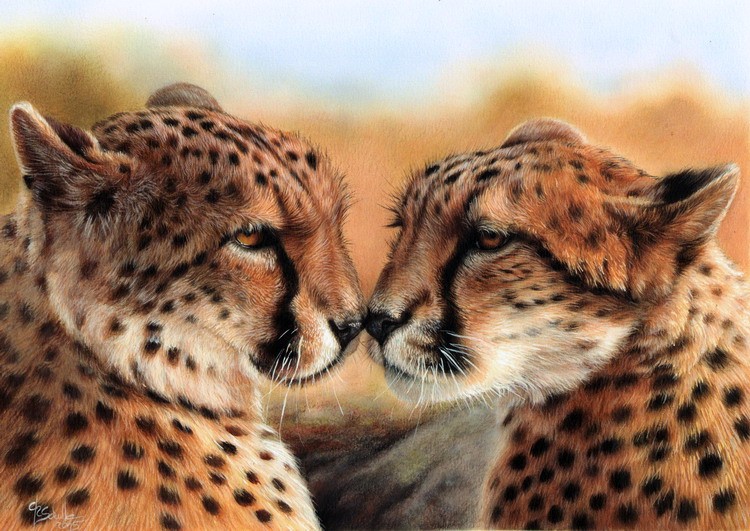 Acrylic painting Cheetah