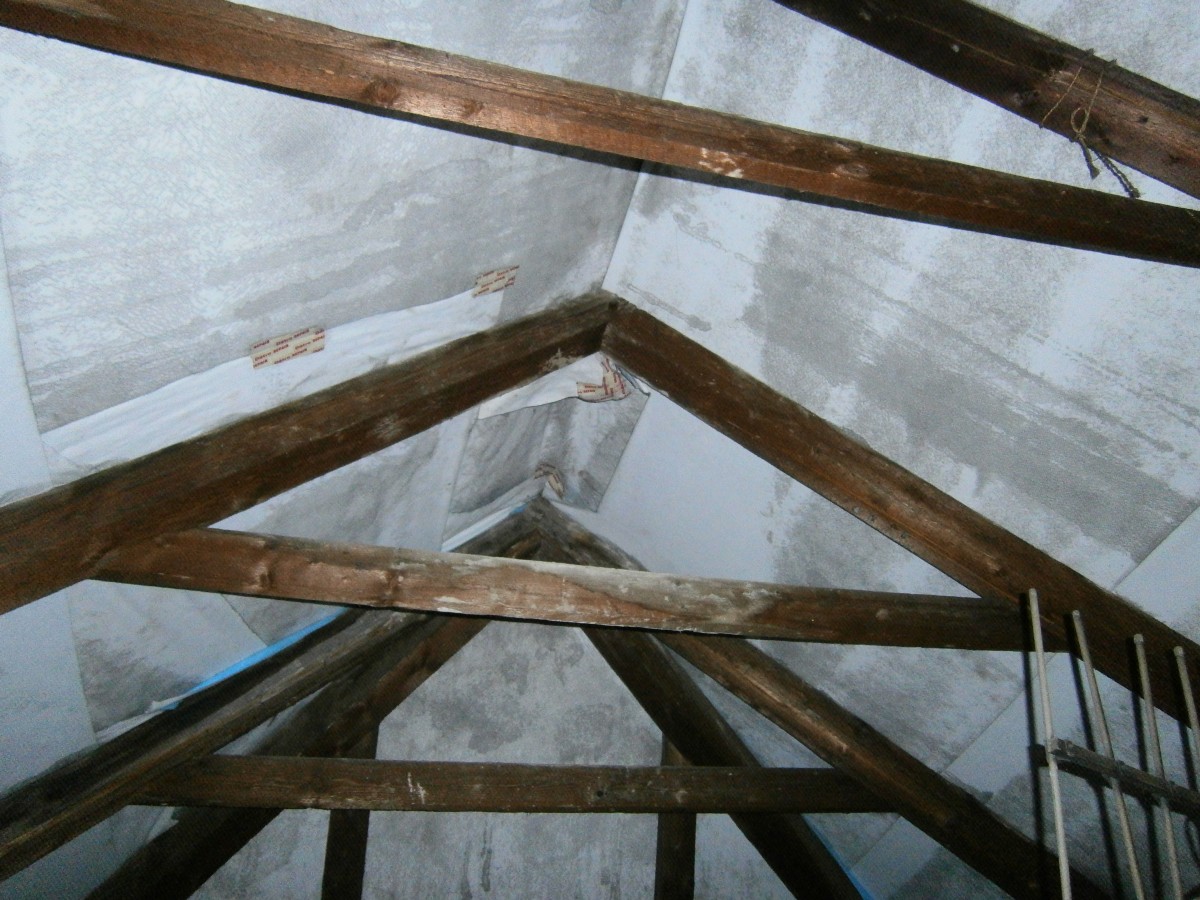 schimmel beseitigen Dachstuhl