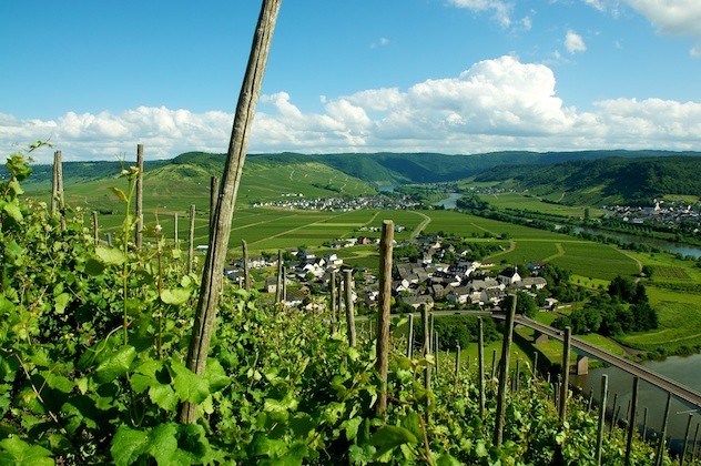52 Places to go, Mosel, New York Times, Wine