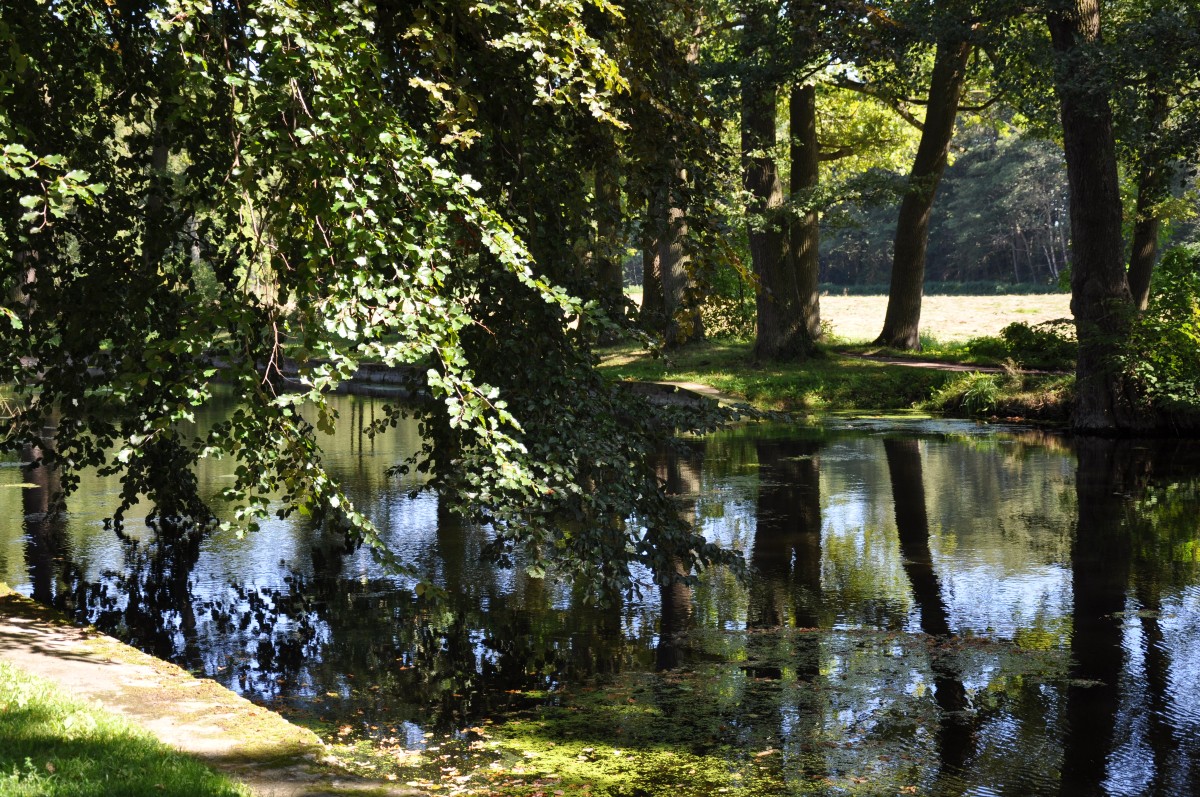 Usedom Schlosspark