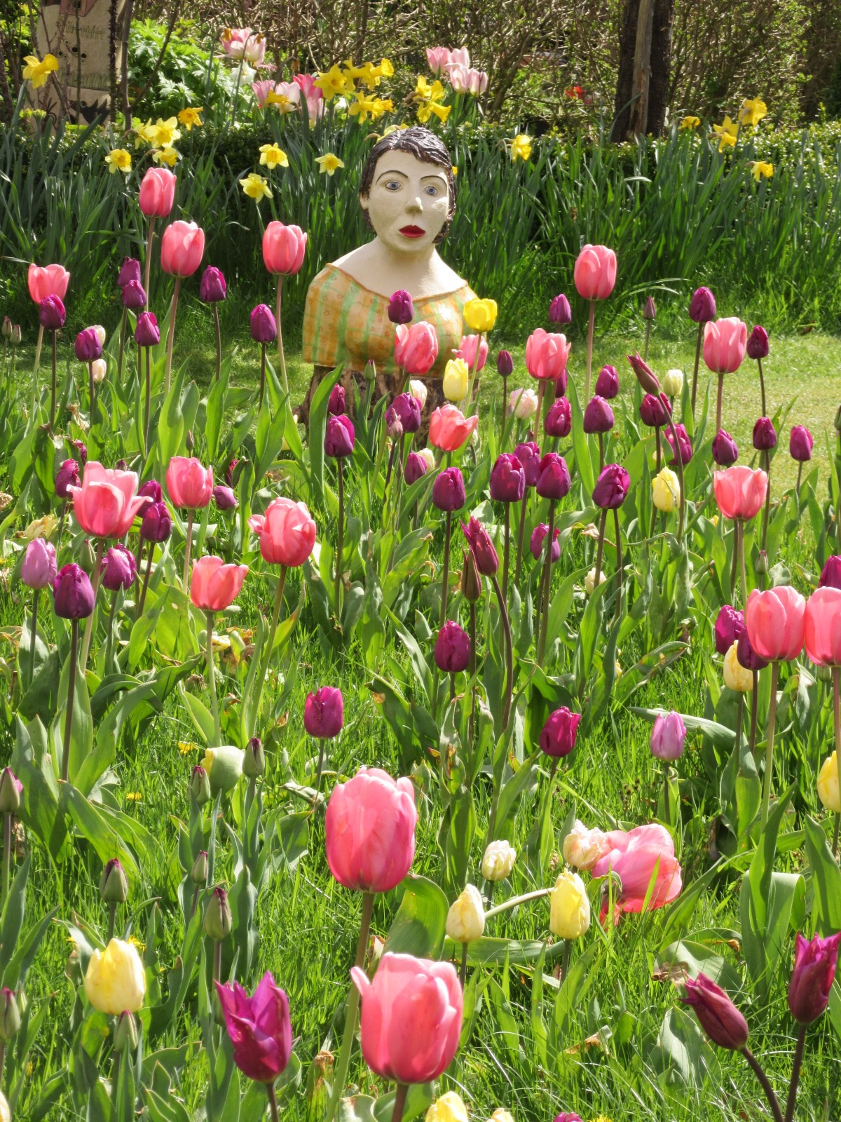 Die Tulpenfrau hat viele Besucher in Frühlingsstim