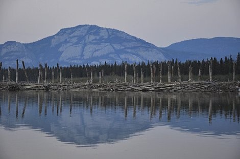 Yukon River © Copyright by Ch. Breier
