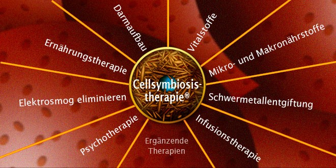 Cellsymbiosistherapie ® - die Thearpieschritte
