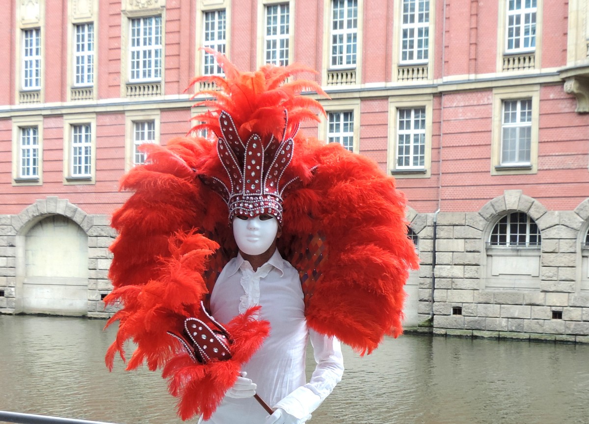 Karneval, Venedig, Kostüm, federn                 