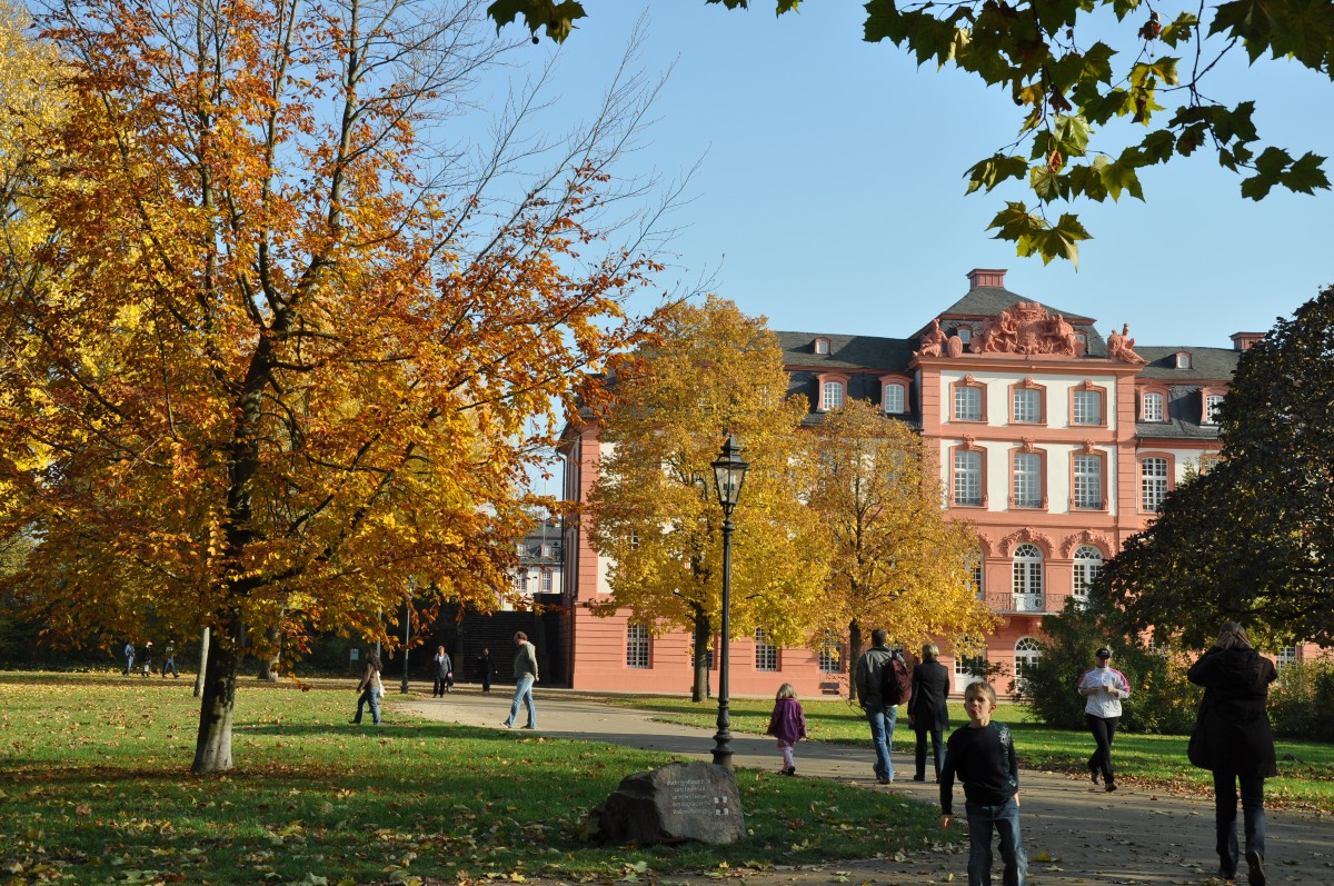 Schloss Biebrich mit Herbstlaub
